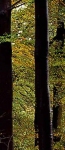 landschap.jpg